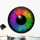 Rainbow Eye Wall Decal