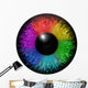 Rainbow Eye Wall Decal