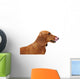 Portrait Red Dachshund Wall Decal