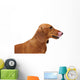 Portrait Red Dachshund Wall Decal