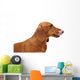 Portrait Red Dachshund Wall Decal