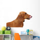 Portrait Red Dachshund Wall Decal