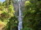 Oregon Multnomah Falls Wall Decal