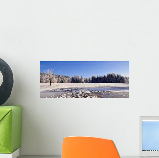 Frost Winter Landscape Wall Decal