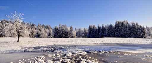 Frost Winter Landscape Wall Decal