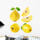 Quince Fruits Collection Wall Stickers
