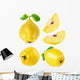 Quince Fruits Collection Wall Stickers