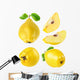 Quince Fruits Collection Wall Stickers