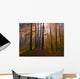 Dawn Coniferous Forest Wall Decal