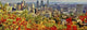 Montreal Technique Hdri Wall Decal