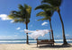 Cabana Palm Trees Beach Wall Decal