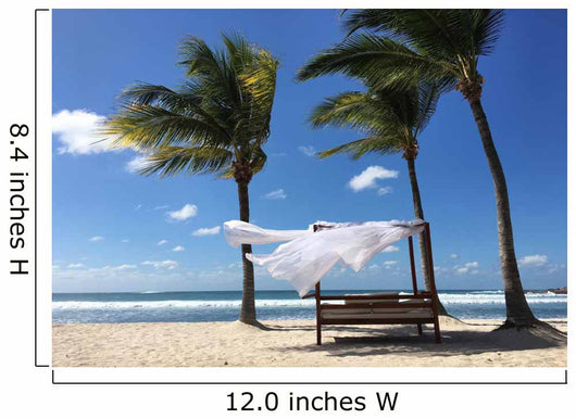 Cabana Palm Trees Beach Wall Decal