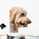 Dog with Tongue out Wall Decal
