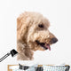 Dog with Tongue out Wall Decal