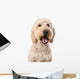 Chewing Goldendoodle Wall Decal
