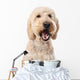 Chewing Goldendoodle Wall Decal