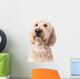 Thinking Goldendoodle Wall Decal