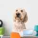 Thinking Goldendoodle Wall Decal