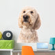 Thinking Goldendoodle Wall Decal