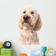 Thinking Goldendoodle Wall Decal