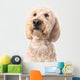 Thinking Goldendoodle Wall Decal