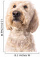 Thinking Goldendoodle Wall Decal
