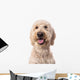 Smiling Goldendoodle Wall Decal Design 2