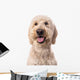 Smiling Goldendoodle Wall Decal Design 2