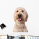 Smiling Goldendoodle Wall Decal Design 2