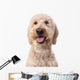 Smiling Goldendoodle Wall Decal Design 2