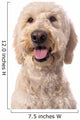 Smiling Goldendoodle Wall Decal Design 2