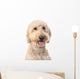 Smiling Goldendoodle Wall Decal Design 1
