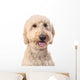 Smiling Goldendoodle Wall Decal Design 1