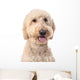 Smiling Goldendoodle Wall Decal Design 1