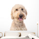 Smiling Goldendoodle Wall Decal Design 1