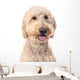 Smiling Goldendoodle Wall Decal Design 1