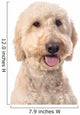 Smiling Goldendoodle Wall Decal Design 1