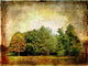 Autumn Forest Vintage Picture Wall Decal