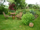 Oasis Green Garden with Wall Decal
