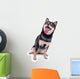 Shiba Inu Dog Wall Decal