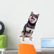 Shiba Inu Dog Wall Decal