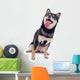 Shiba Inu Dog Wall Decal