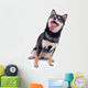 Shiba Inu Dog Wall Decal