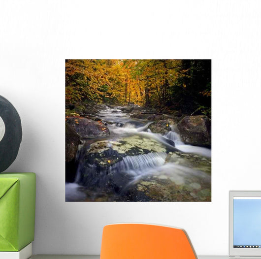 Autumn Brook Flowing New Wall Decal