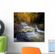 Autumn Brook Flowing New Wall Decal