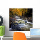 Autumn Brook Flowing New Wall Decal