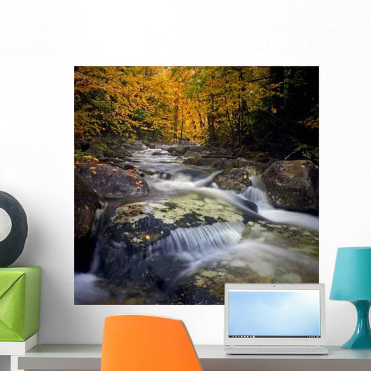 Autumn Brook Flowing New Wall Decal