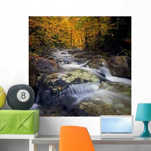 Autumn Brook Flowing New Wall Decal