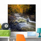 Autumn Brook Flowing New Wall Decal