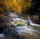 Autumn Brook Flowing New Wall Decal